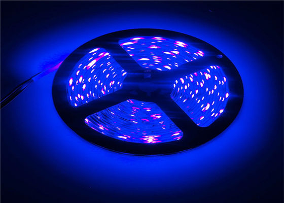 16ft 14.4w Wireless Remote Control Led Strip Lights